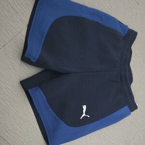 Puma Navy and Blue Athletic Shorts